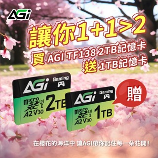 【買2TB送1TB】AGI亞奇雷 TF138 2TB MicroSDXC UHS-1 U3 V30 A2 高速記憶卡