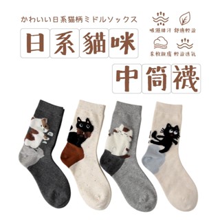 珊瑚絨貓腳襪 貓爪襪 貓掌襪 貓腳襪 貓咪襪 珊瑚絨 貓貓襪 保暖襪 襪子 貓腳 貓掌 毛襪 毛巾襪