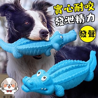 🔥臺灣現貨寵物玩具 寵物耐咬玩具 貓咪磨牙玩具 狗狗磨牙玩具 寵物磨牙玩具 金毛柯基大型犬幼犬耐咬解悶發聲玩具