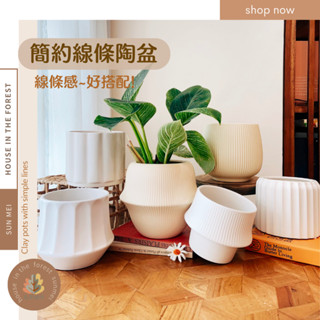 森美植所/臺灣發貨/簡約線條陶盆/花盆/花瓶/花器/陶盆/觀葉植物/多肉植物/植栽/居家裝飾/植栽花禮盆栽