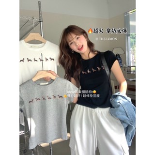 (3colors)𝐓𝐇𝐄 𝐋𝐈𝐌𝐎𝐍檸檬家🍋入門基本款!窄肩百搭臘腸狗狗圖案短袖/女生上衣#8373