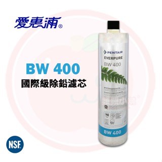 ❤️頻頻小舖❤️ EVERPURE 愛惠浦 BW400 / BW-400 專利活性碳 國際級標準除鉛濾芯 / 濾心