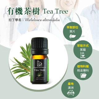 Bonnie House 植享家 茶樹精油5ml+笑翠鳥擴香公仔組合 全新