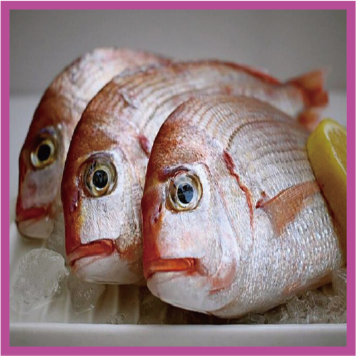 【八通食品】三去紅盤魚5/6.南／10k箱／專營餐廳、嚴選食材／挑戰最低價／便當魚／紅魚／清蒸／燒烤