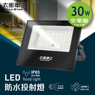 【太星電工】30WLED防水投射燈/全電壓 園藝造景 戶外投射燈 工作燈 探照燈 工地燈 露營燈 招牌燈 WDA3030