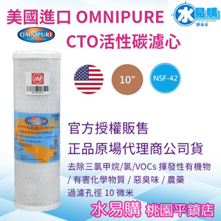 水易購淨水 美國進口 OMNIPURE CTO 塊狀 活性碳濾心 10吋 NSF 正品代理商公司貨【桃園平鎮店】