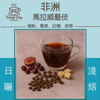 馬拉威藝伎-日曬 淺焙 精品咖啡豆 日本富士烘焙 享味咖啡