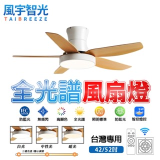 【風宇智光】吊扇燈 風扇燈 全光譜吊扇燈 北歐五葉吊扇燈 客廳餐廳變頻風扇燈 LED吸頂電扇燈 遙控 靜音 正反轉