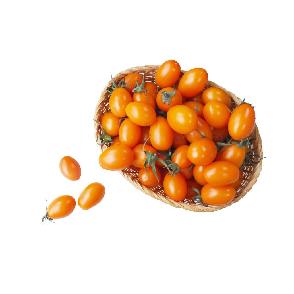 【限量】台灣橙蜜香蕃茄10入