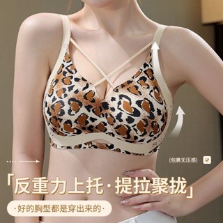 臺灣發貨 豹紋大碼內衣 M-5XL 無痕無鋼圈 聚攏提拉內衣 超薄全罩杯 大胸顯小顯瘦內衣 舒適透氣固定杯 收副乳調整型