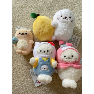 (在臺)Sirotan 小海豹 娃娃 絨毛娃娃 海豹 三麗鷗 sanrio 吊飾娃娃 凱蒂貓 美樂蒂