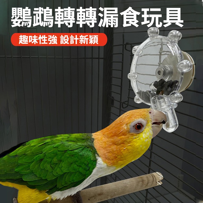 （台灣現貨）鸚鵡覓食玩具轉轉樂可放小瓜子火麻等較大顆粒之穀物鸚鵡益智玩具（鸚鵡天空）C16