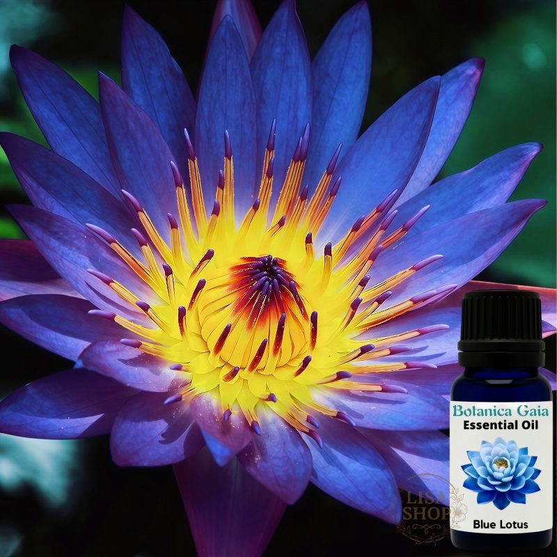 美國製 藍蓮花精油 印度製 藍蓮花原精 藍睡蓮 埃及藍蓮花 蒸氣蒸餾 純正 單方 未稀釋 不含已烷 稀有 冥想 原裝