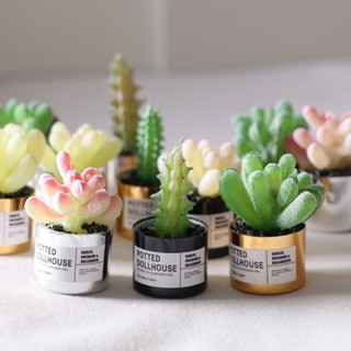 小廢物俱樂部 迷你多肉 GSC配件 娃娃屋植物 OB11擺件 微縮手作 金屬盆栽 Dollhouse模型 桌面拍照 小花