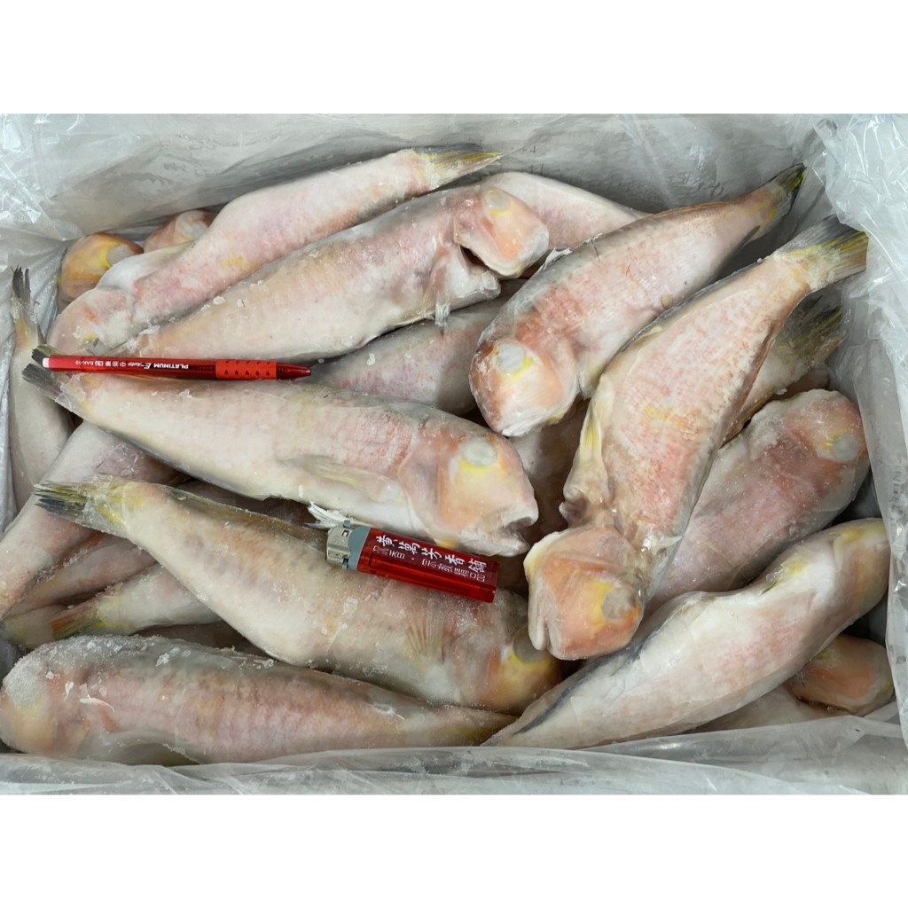 馬頭魚的價格推薦- 2026年1月| 比價比個夠BigGo