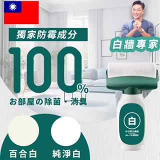 【臺灣製造】現貨馬上出 2色可選 滾輪油漆 滾筒漆 滾筒刷 油漆 快速乾燥 乳膠漆 油漆滾筒刷 油漆滾輪 油漆刷 補牆