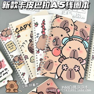 卡皮巴拉 水豚 水豚君 A5 筆記本 記事本 日記本 錯題本 文具 文具用品 手帳本 活頁筆記本 a5筆記