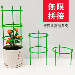 【園苑】爬藤架 花架 可疊高 植物架 植物支架 園藝支架 園藝花架 植物花架 植物支撐桿 花器 花盆 園藝工具