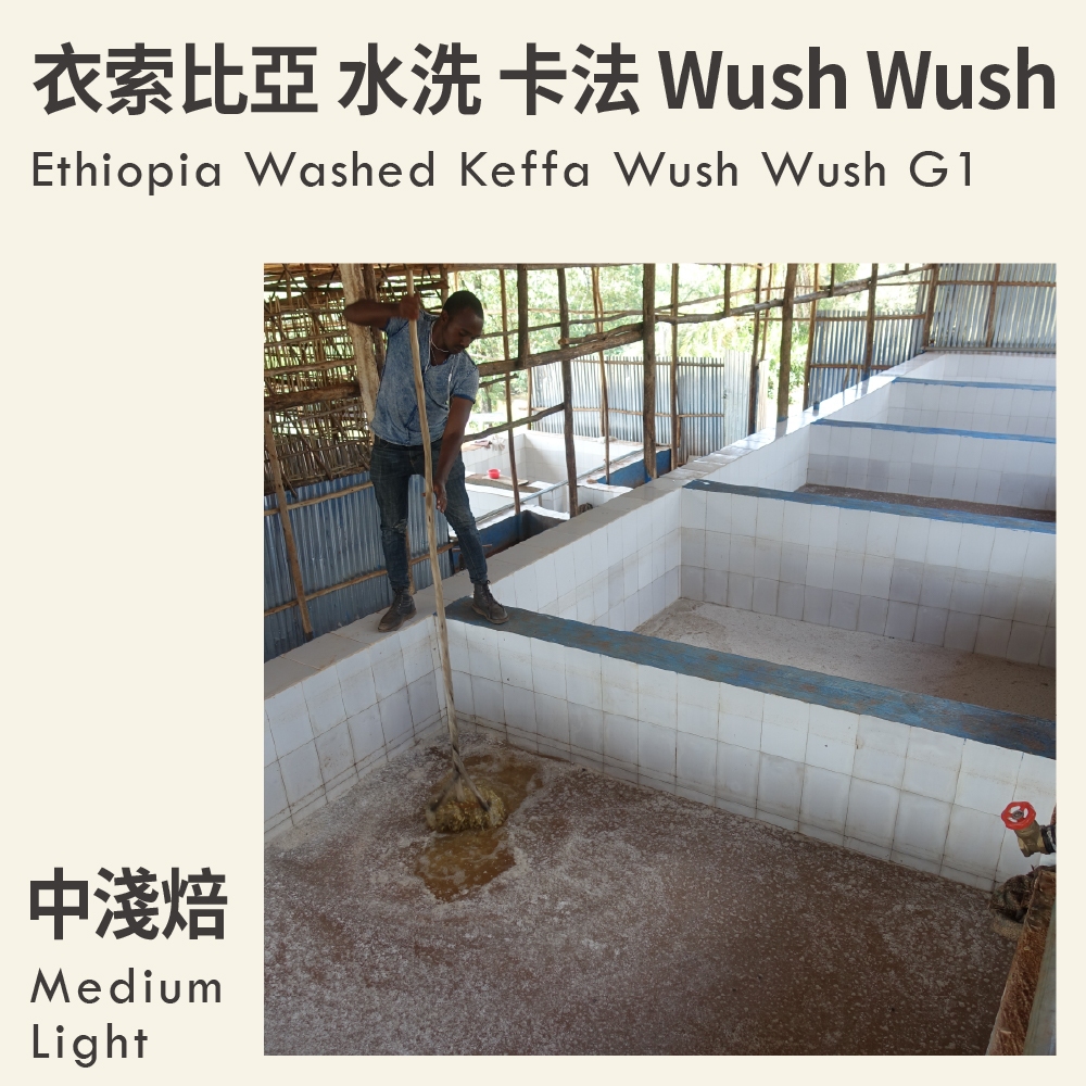 KaKaLove - 衣索比亞 水洗 卡法 Wush Wush G1 0.5磅