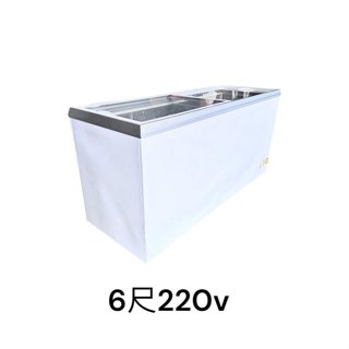 桃園國際二手貨中心----瑞興 RS-DF600 6尺對拉冷凍櫃 6尺躺式冰箱 6尺臥室冰箱(220v)