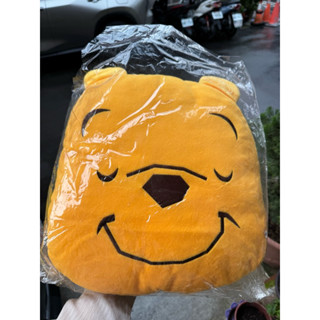 全新 迪士尼 小熊維尼抱枕涼被兩用款 睡臉維尼