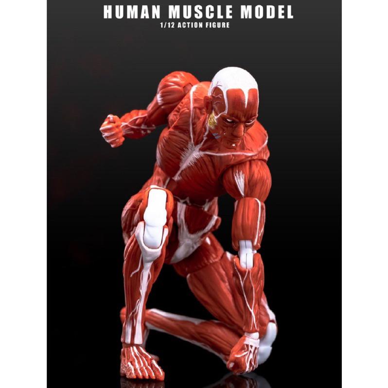 頑聚同樂會 預購 Human Muscle Model 玩朝玩具 1/12 肌肉人 紅色 灰色 巨人 人形 生日禮 正版