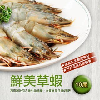 【築地一番鮮】鮮美大草蝦10尾裝(淨重約380g)-任選