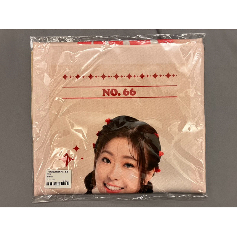 全新 23-24 台新啦啦隊 Taishin Wonders  柳柳 應援毛巾