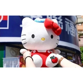 Hello Kitty暖手抱枕毛毯組 玩偶毛毯組/全聯/全新