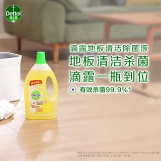 [臺灣現貨]正品滴露消毒液家用消毒殺菌室內除蟎衣物寵物家居地板清潔劑洗衣機清潔劑 衣服消毒液 洗衣機消毒液