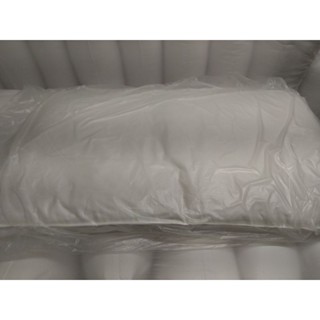 賽羽絨枕心(48cm*75cm/1KG/聚酯纖維)極軟 現貨