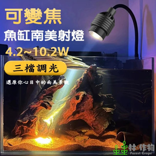 《林作物》臺灣現貨/含發票 水族 USB 5V 光學變焦 南美燈 三色可調 魚缸 海水缸 南美缸 投射燈 原生缸 造景燈