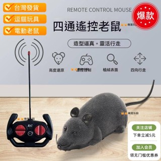 🔥隔日達🔥【免運】寵物玩具 貓咪玩具逗貓玩具 高模擬遙控植絨老鼠 電動老鼠 遙控老鼠 無線遙控逗貓老鼠 貓咪