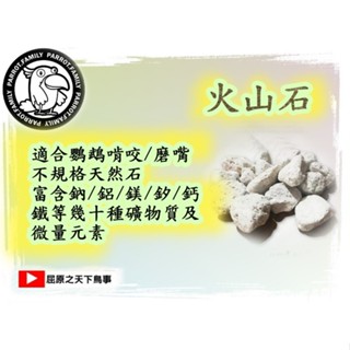 龍貓寵物鼠類鸚鵡\火山石\補充礦物質微量元素\1顆價格\（小）