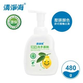 【清淨海】環保洗手慕斯(清新檸檬香)480g｜無皂鹼、無甲醛、無添加工業潤膚劑｜Holdmego
