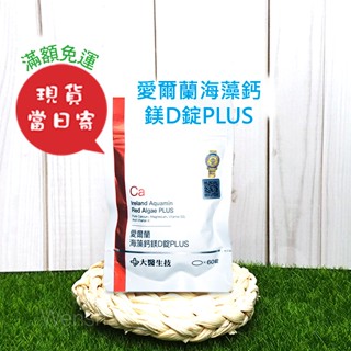 【大醫生技】 愛爾蘭海藻鈣鎂D錠PLUS✨ 60錠入 ㊣原廠現貨