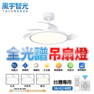 【風宇智光】吊扇燈 風扇燈 三色調光 隱形吸頂吊扇燈 遙控 現代簡約超薄隱形風扇燈 吊扇燈具 吊燈風扇 靜音 定時