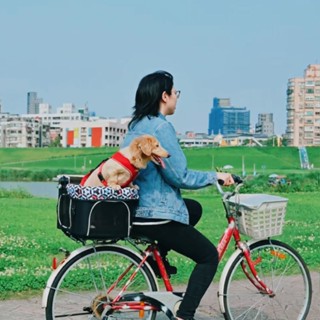 JPW寵愛共乘車架 小騎士系列寵物推車專用 可放機車寵物推車