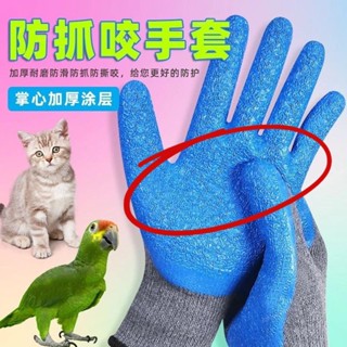 【臺灣出貨】訓練寵物用防咬手套 雙層牛皮手套 寵物防咬手套加厚成人倉鼠擼貓餵食防刺穿訓鳥防抓鸚鵡兔子金絲熊 安全手套