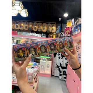 ✿AREA.TOY✿ 現貨 盒玩 精靈寶可夢 FLOCKY DOLL 第6彈 植絨玩偶 單隻