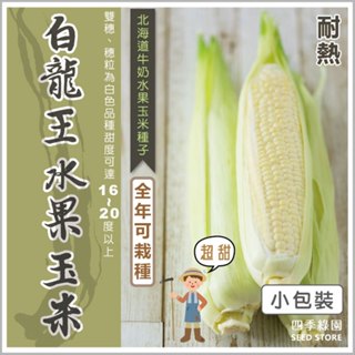 白龍王水果玉米種子(北海道牛奶水果玉米)，耐熱性佳、高品質(小包裝)【四季綠園】