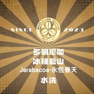 {接單烘焙}當日下單.當日寄出.豆太郎咖啡 多明尼加 冰種藍山 咖啡豆 日本烘豆機 員林名店 精品咖啡 藍山
