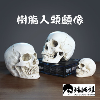 【板橋酷酷姐美術】樹脂人頭顱像 1:1 藝用 骷顱頭 人像 人頭 模型 頭骨 人體結構 人體造型 萬聖節搞怪 人體模型