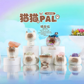 貓貓PAI水晶盲盒可愛動物小擺飾盲盒（6款不重複/隱藏版機率）