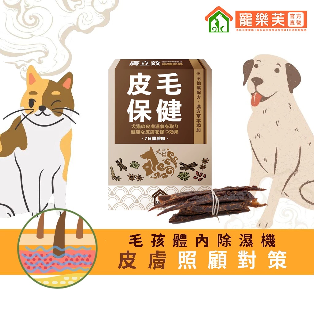 【寵樂芙】膚立效 / 漢方體內祛濕調養 (肉條劑型）毛孩體內除濕機 寵物皮毛保健 體驗組*