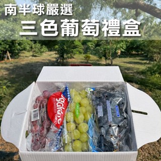 🔥限時下殺🔥(免運)嚴選三色葡萄綜合水果禮盒3kg｜水果狼FRUITMAN