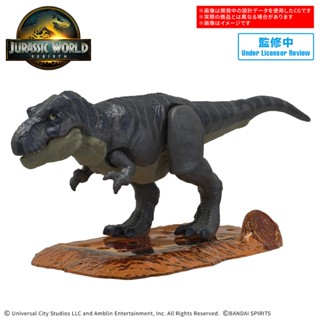 (BANDAI )預購25年7月 代理版 組裝模型 侏羅紀世界 JURASSIC WORLD 暴龍(酷比樂)