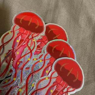 (防水貼紙）太平洋海刺水母 Pacific Sea Nettle