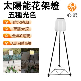 【HeartPick心選】 太陽能燈 花架燈 植物支架生長燈 陽臺落地燈 戶外防水 裝飾景觀 氛圍庭院燈