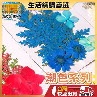 潮色系壓花 壓花 壓花材料包 乾燥花書籤 乾燥壓花 書籤DIY 押花 壓花材料 壓花DIY 樹葉書籤 乾燥花 滴膠
